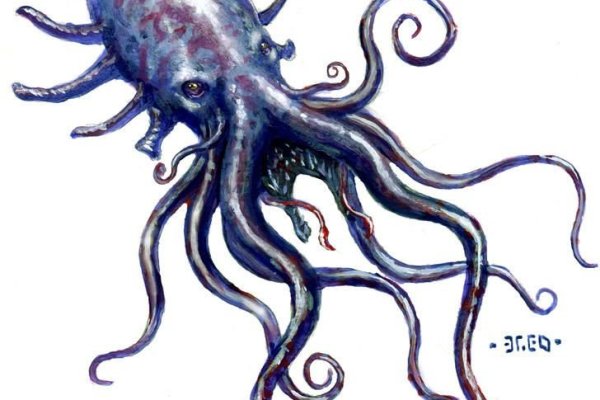 Kraken platform