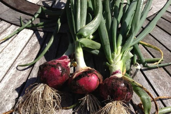 Кракен маркетплейс что это